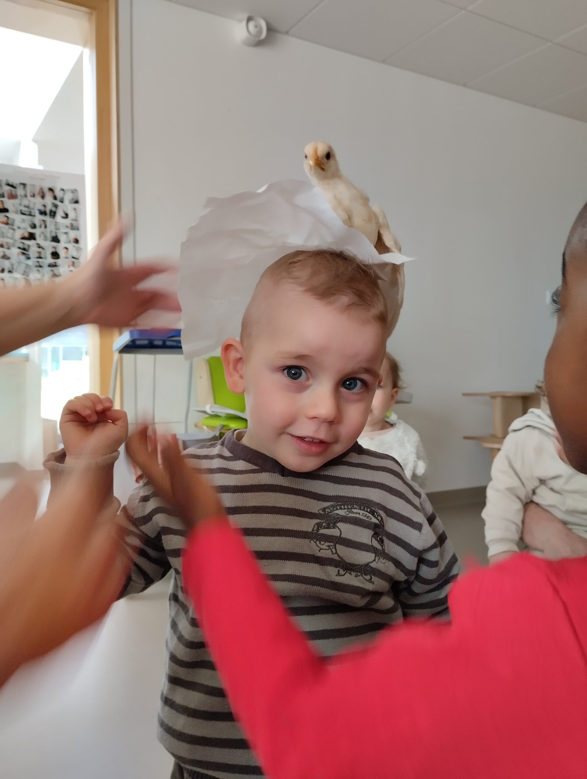 Un petit garçon à la crèche Les Papillons à Pontivy avec un poussin posé sur la tête, lors d'une activité de la ferme pédagogique.