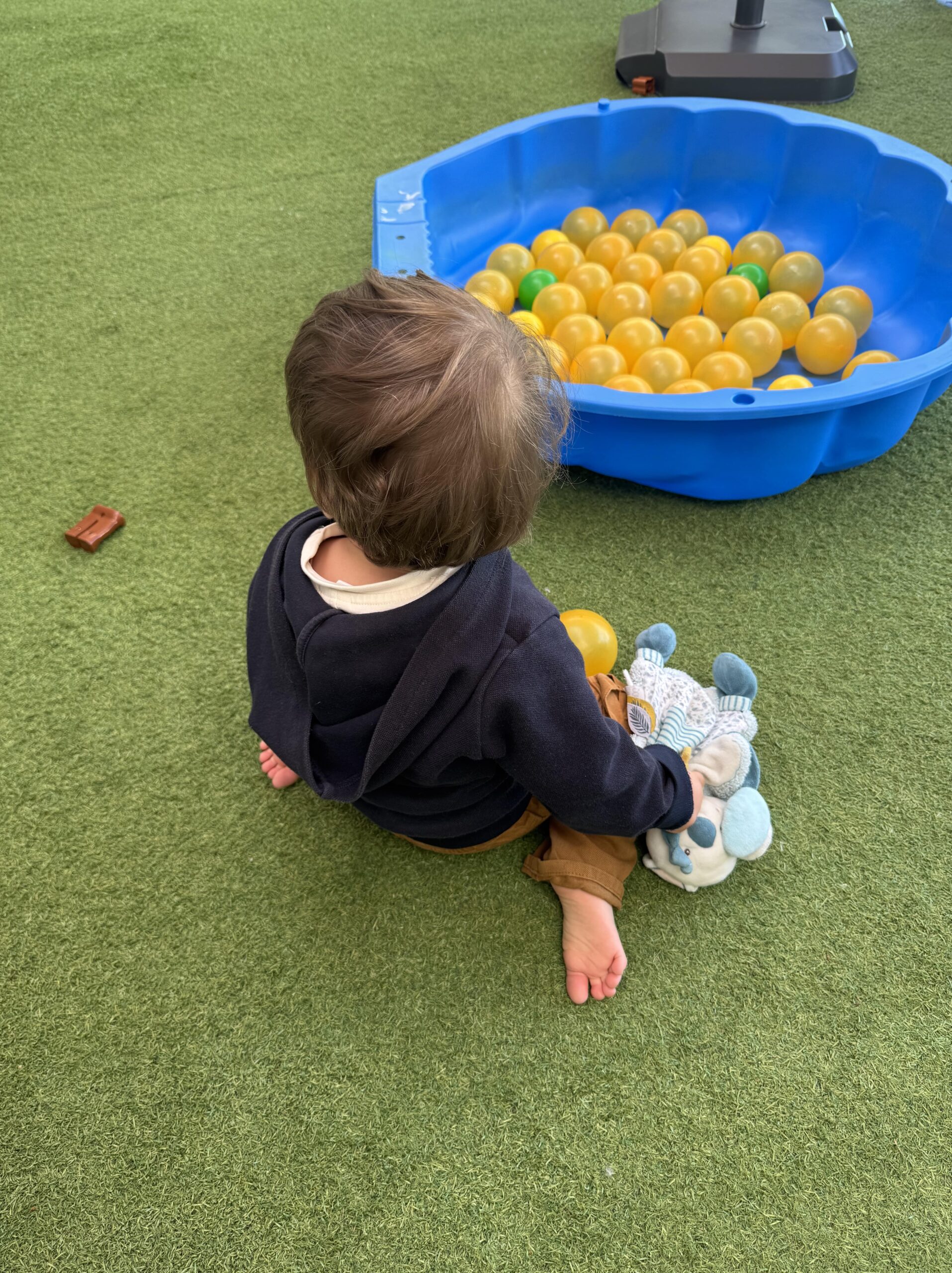 Petit enfant assis près d'un bac en forme de coquille rempli de balles jaunes, dans l'espace extérieur de la crèche Les Libellules à Vannes.